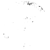 Electronic Arts